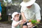 dsc06236_small.jpg