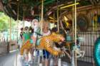 dsc06245_small.jpg