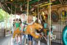 dsc06246_small.jpg