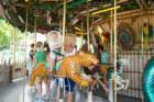 dsc06247_small.jpg