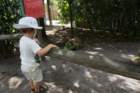 dsc06326_small.jpg