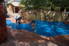 dsc06380_small.jpg