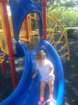 _vincent_10587_small.jpg