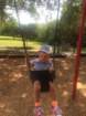 _vincent_10665_small.jpg