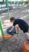 _163457_small.jpg