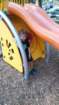 _171157_small.jpg