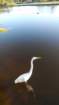 _161003_burst01_small.jpg