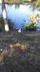 _163310_small.jpg