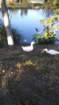 _163315_small.jpg